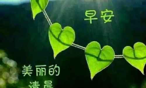 当归和郁金是治啥的-当归郁金功效网-分享当归郁金功效与禁忌，郁金当归泡水喝的功效知识库